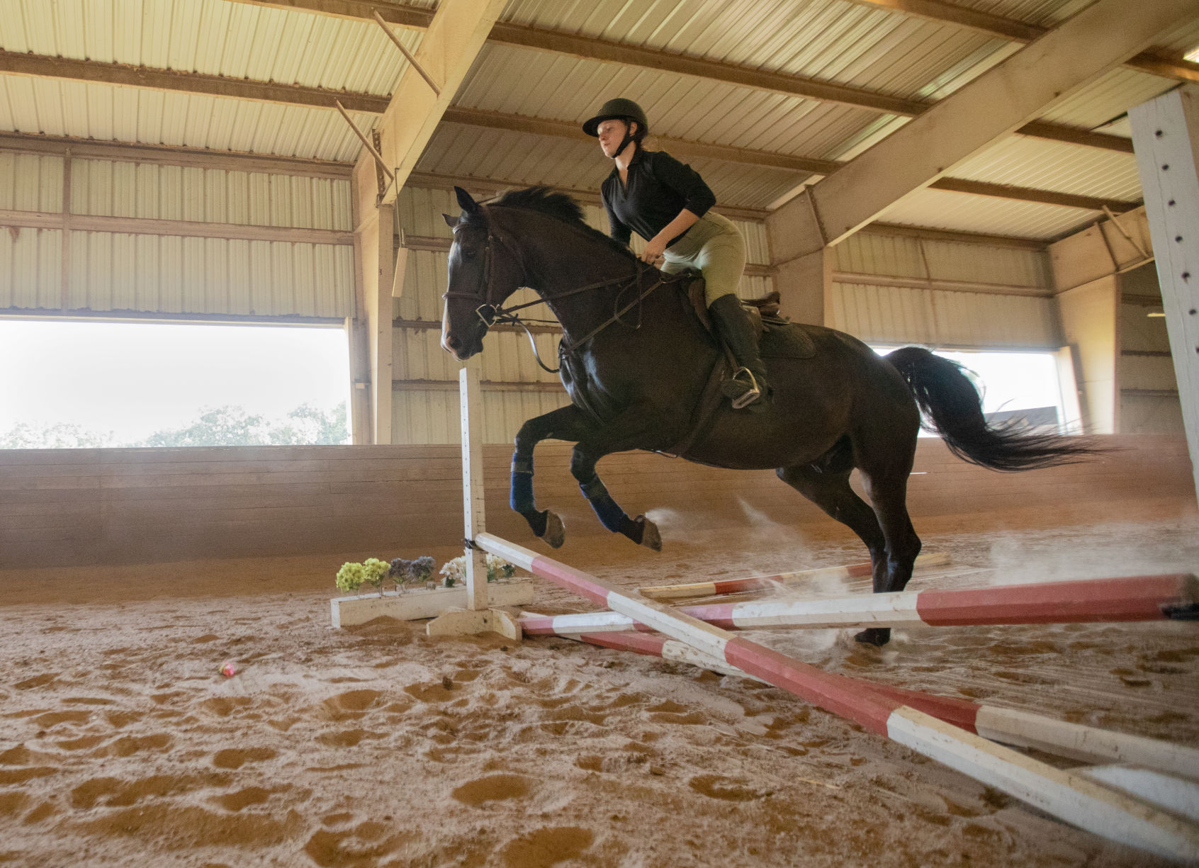 Maverick Equestrian Club to saddle up at UTA